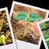 Trade show posters